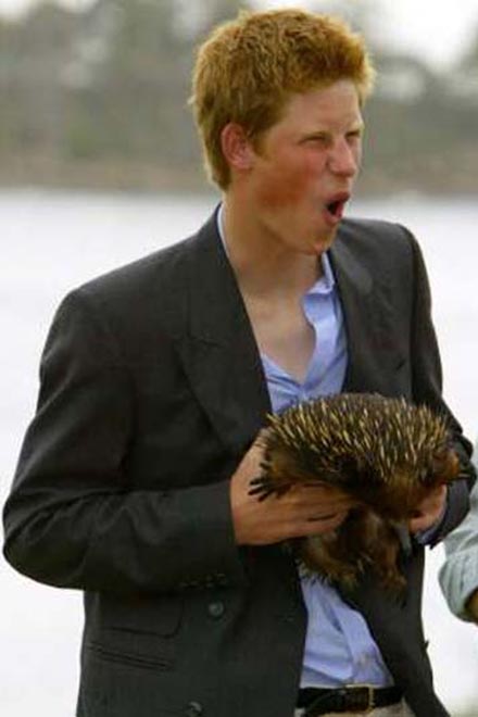 Prince Harry calls Chelsy Davey ‘wifey’