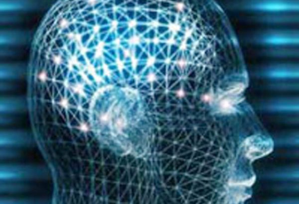 A brain implant improved memory, scientists report