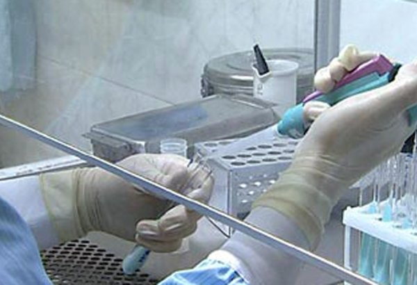 Kenya becomes third African nation to introduce malaria vaccine
