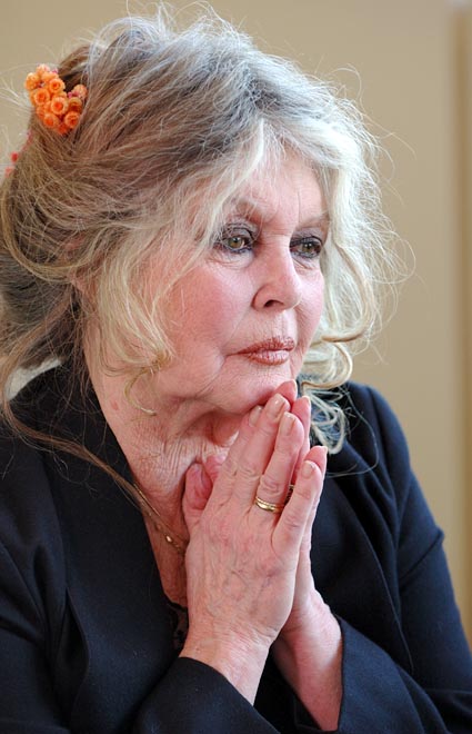 Brigitte Bardot Convicted of Provoking Racial Hatred