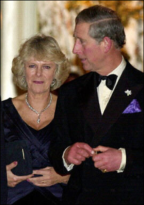 Camilla pulls out of Diana memorial service