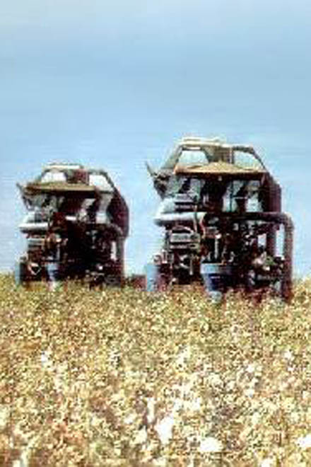 PM: Uzbekistan intends to process up to 2/3 of ginned cotton production