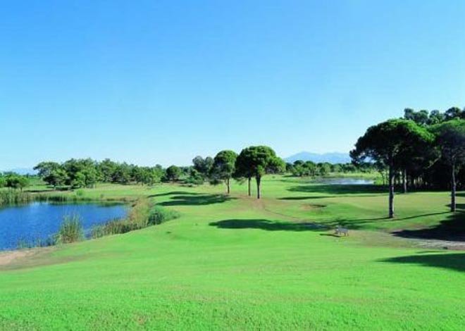 Latvia Wishes to Open Golf Club in   Baku