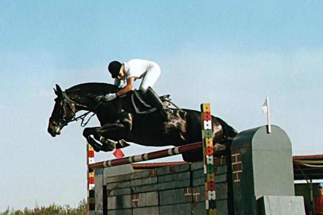 Azerbaijan to host int'l equestrian competitions in 2011