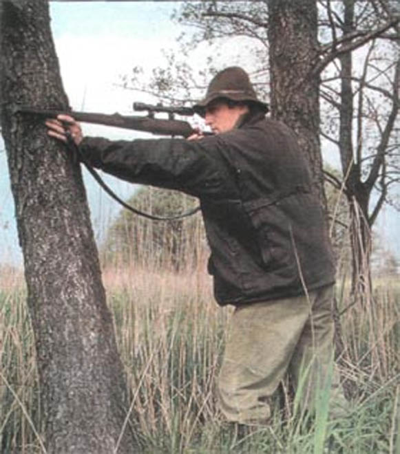 Dead goose falls from sky and knocks a hunter unconscious