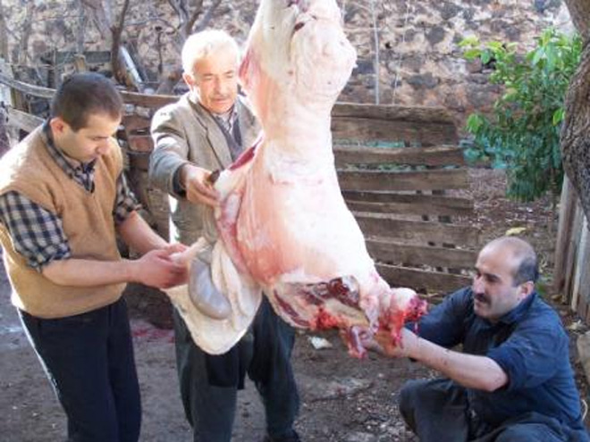 Uzbekistan celebrates Festival of Sacrifice