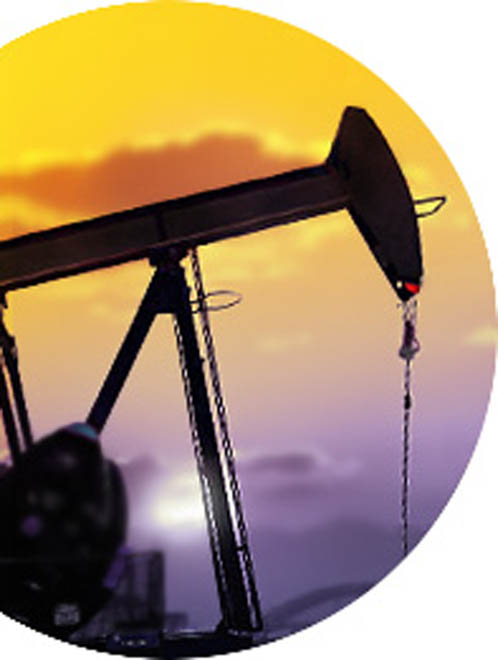 Japan "to reduce Iran oil imports"