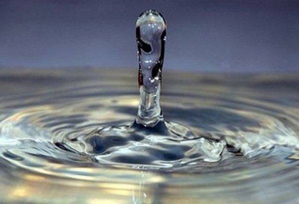 Iranian startup designs practical kit for testing water quality
