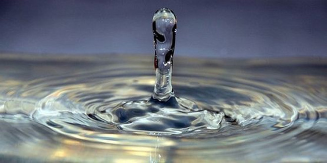 Iranian startup designs practical kit for testing water quality