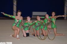 Gymnasts to Represent Azerbaijan at Olympiad Hold Useful Training: Federation Secretary General (video)