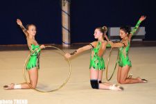 Gymnasts to Represent Azerbaijan at Olympiad Hold Useful Training: Federation Secretary General (video)