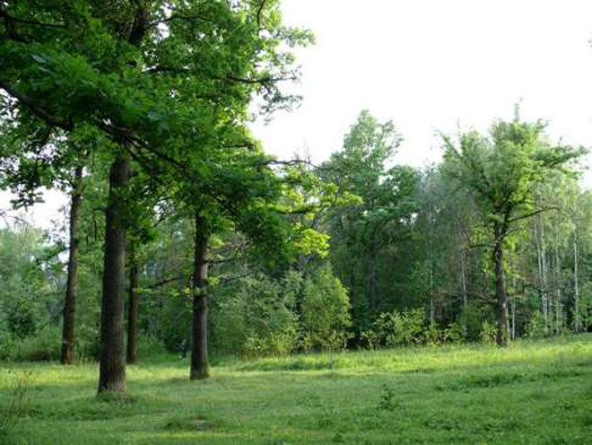 FLEG II helps mobilize young foresters in Azerbaijan
