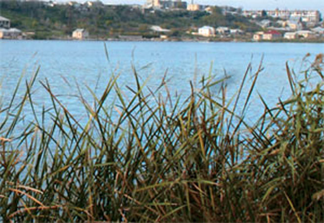 German Police to Drain Lake to Solve Murder Case From 90's – Reports