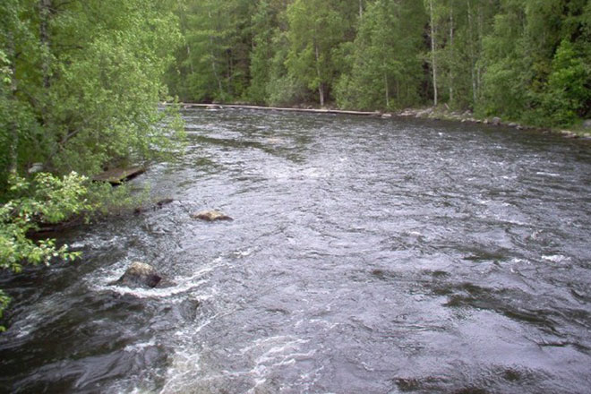 Pollution in Azerbaijani transboundary rivers exceeds norm