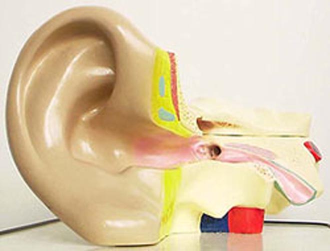 Convertibles 'bad for the ears'