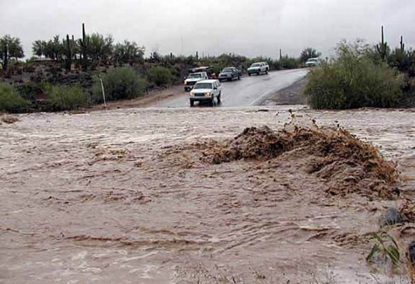 Amount of damage caused by torrential rain made public in Georgia