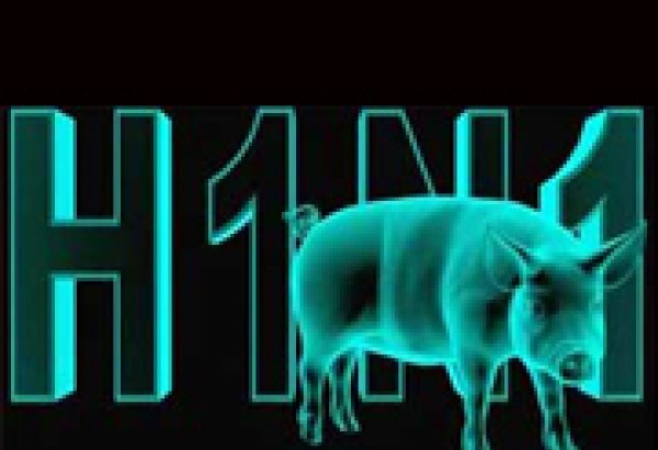 8 more H1N1 deaths reported in Myanmar
