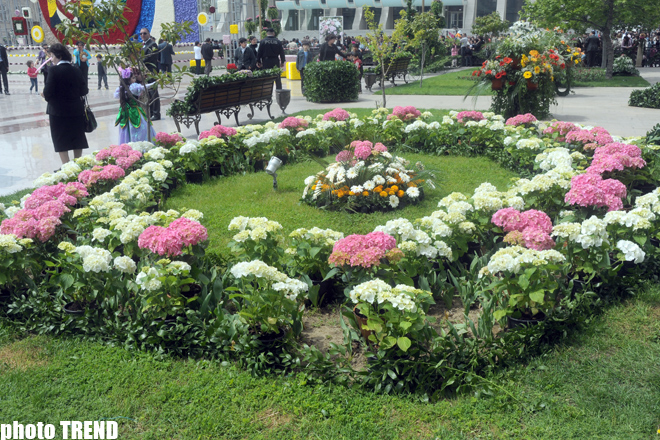 Baku hosts flower festival – PHOTO SESSION