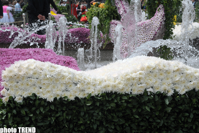 Baku hosts flower festival – PHOTO SESSION