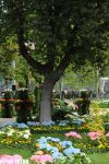 Baku hosts flower festival – PHOTO SESSION
