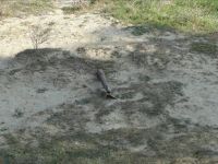 Many unexploded ordinances revealed near TV tower in Baku (UPDATE-5) (PHOTO)