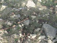 Many unexploded ordinances revealed near TV tower in Baku (UPDATE-5) (PHOTO)