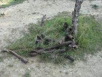 Many unexploded ordinances revealed near TV tower in Baku (UPDATE-5) (PHOTO)