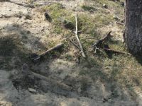 Many unexploded ordinances revealed near TV tower in Baku (UPDATE-5) (PHOTO)