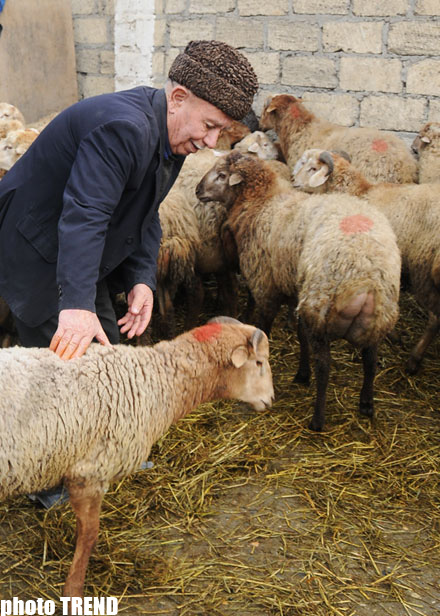 Azerbaijan marks Qurban holiday (PHOTO)
