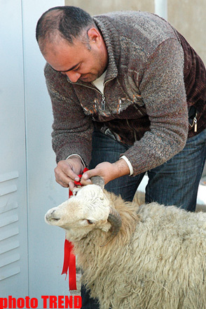 Azerbaijan marks Qurban holiday (PHOTO)