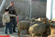Azerbaijan marks Qurban holiday (PHOTO)