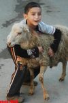 Azerbaijan marks Qurban holiday (PHOTO)