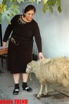 Azerbaijan marks Qurban holiday (PHOTO)