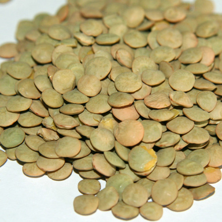 Azerbaijan resumes lentil exports to Poland