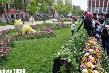 Flower festival in Baku (PHOTO)