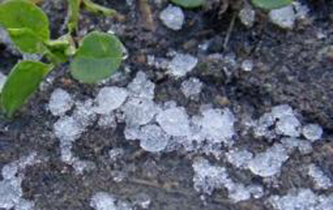 Hail damages 410 houses in Eastern Kazakhstan
