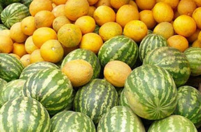 Toxicology lab to check melons at markets in Baku