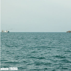 Iran’s aquatic export reaches 930 tons