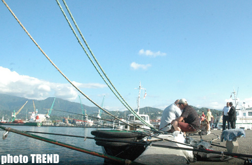 Georgian Batumi Port significantly reduces oil transshipment in Jan