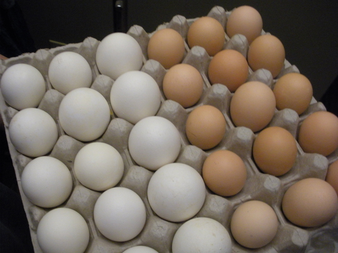 Kazakhstan tightens reins on domestic egg market via price control legwork