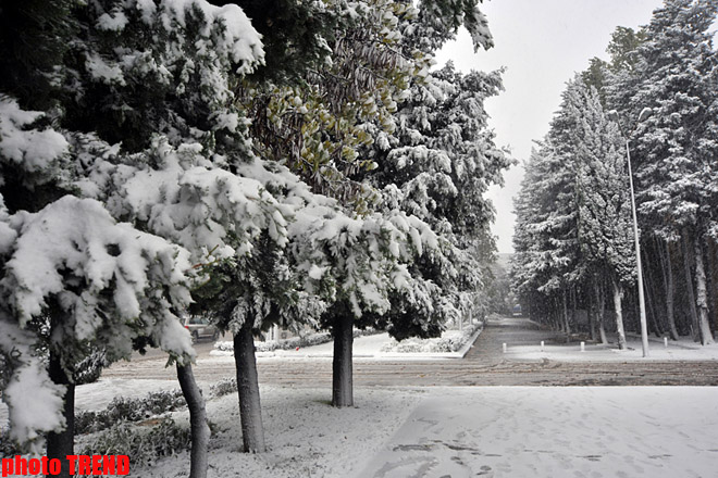 Lessons at Georgian schools cancelled due to bad weather