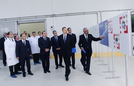 Azerbaijani President inaugurates Gazakh Canning Factory (PHOTO)
