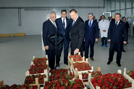 Azerbaijani President inaugurates Gazakh Canning Factory (PHOTO)