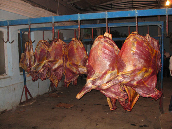 Five tons of horse meat destroyed in Georgia