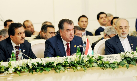 Economic Cooperation Organization’s summit commenced in Baku (PHOTO)