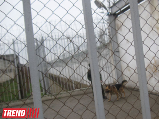 Heads of five prisons dismissed in Georgia