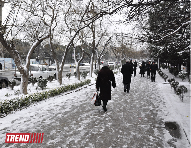 Snow depth hits 22 cm in Azerbaijani northern region