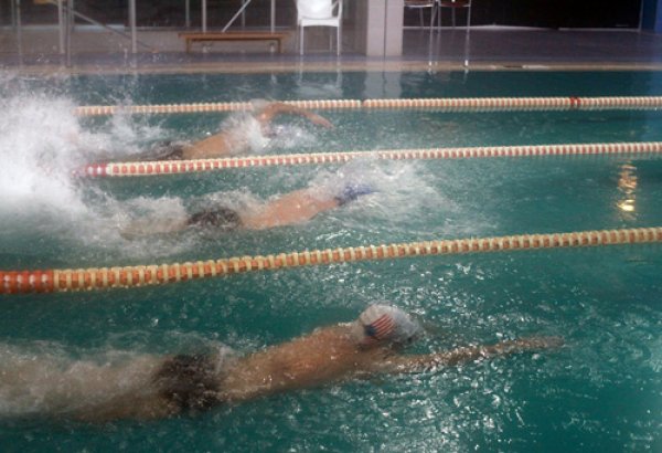 Azerbaijani swimmer wins license for competing in world championship
