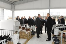 President Ilham Aliyev inaugurates cattle breeding and milk processing complex in Gabala (PHOTO)