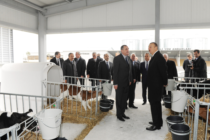 President Ilham Aliyev inaugurates cattle breeding and milk processing complex in Gabala (PHOTO)